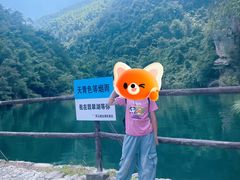-庐山碧龙潭风景区