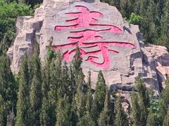 -龙口南山旅游景区