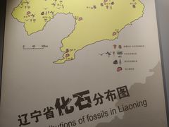 -辽宁古生物博物馆