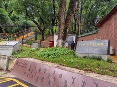 -马王堆汉墓遗址