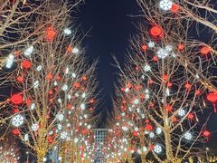 -青龙湖公园