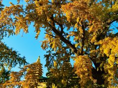 -北京石刻艺术博物馆(五塔寺)