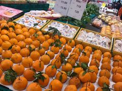 -叶氏兄弟(大连奥特莱斯店)