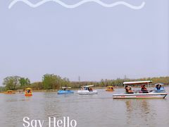 -南海子公园