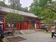 -宫事颐庭·老佛爷贵寿下午茶(颐和园店)