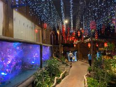 -乡村酒家·湖景客家菜(观澜店)