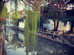 -普洱茶府(博乐广场店)