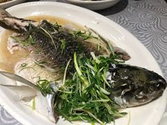 油盐蒸瘦身皖-粤·向群饭店(龙津东路总店)