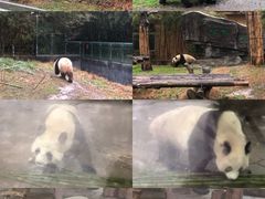 -宁波野生动物园