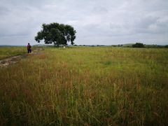 -塞罕坝国家级自然保护区