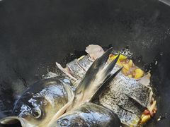 -老农民柴火灶鲜鱼馆