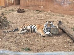 -昆明动物园
