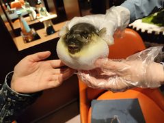 -肆月河豚·淮扬菜·湘菜(华天店)