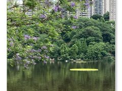 -重庆彩云湖湿地公园