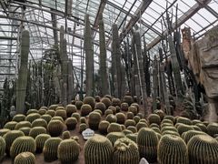 -南山植物园