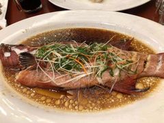 -海蓝海鲜馆(五四北店)