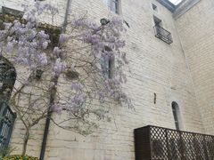 -华谊兄弟（长沙）电影小镇