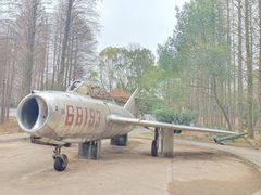 -青龙山国家森林公园