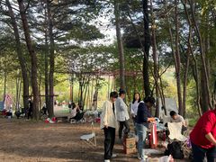 -玉泉威虎山森林公园