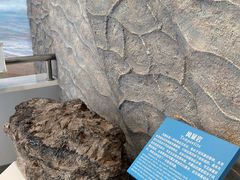 -延庆地质公园博物馆