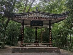 -忠山公园