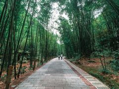 -四洞沟景区