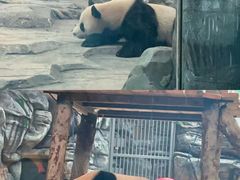 -武汉动物园