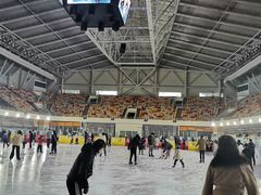 -松江大学城体育馆滑冰馆