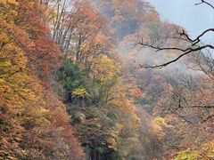 -光雾山旅游景区