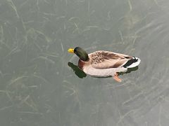 -蒋家桥饺面店(东关街店)