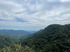 -大岭沟猕猴桃谷风景区
