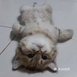 有美团会员的话双拼可便宜了！