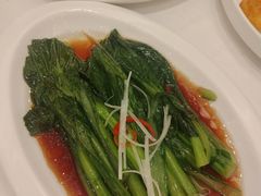 -金三杯酒家(泉城路店)