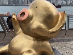 -星光大道