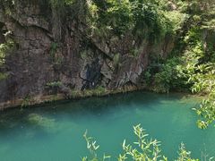 -大奇山国家森林公园