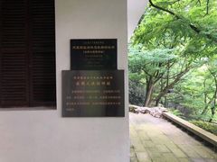 -南山植物园