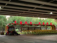 -长白岛森林公园