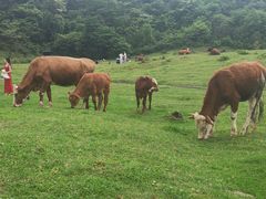 -山王坪喀斯特国家生态公园
