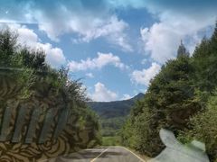-庆岭迎宾园正宗活鱼馆