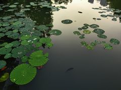 -白塘生态植物园