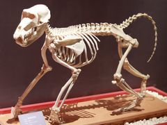 -国家自然博物馆