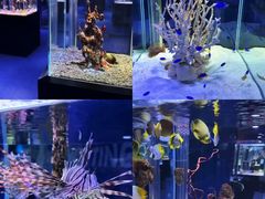 -海合安天津极地海洋公园