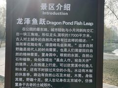 -元大都城垣遗址公园