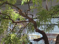 -绿茶餐厅(二七万达店)