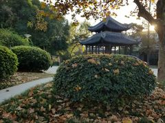 -泰州凤城河风景区-泰山公园