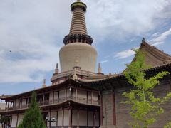 -张掖大佛寺景区