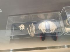 -李昌钰刑侦科学博物馆