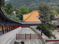 -香山公园