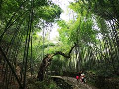-会稽山峡洞漂流-上青古道