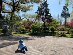 -杭州西湖柳莺里酒店·闻莺厅